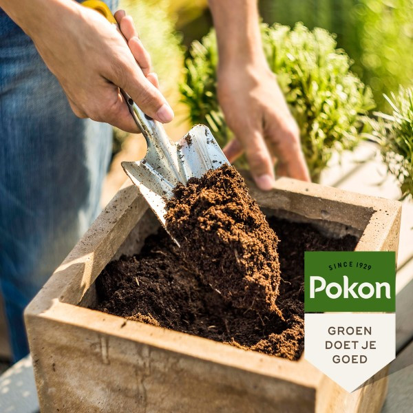 Potgrond Compact | Pokon | 10 liter (Kokosvezel, Turfvrij) Pokon